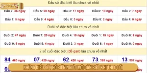 Những Kiểu Đề Phổ Biến Người Mới Cần Biết Khi Theo Dõi