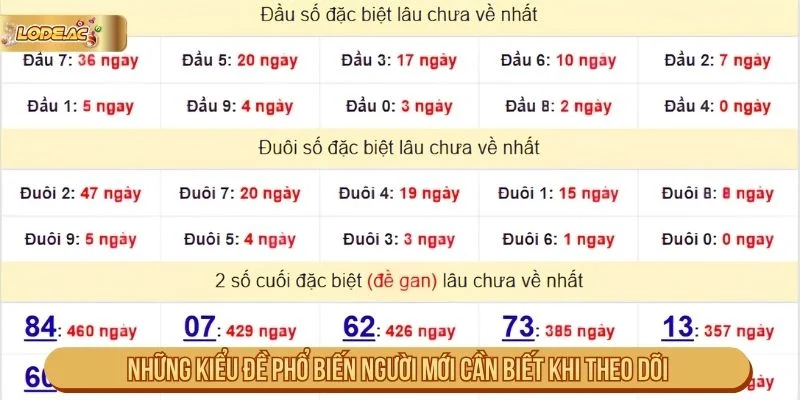 Những Kiểu Đề Phổ Biến Người Mới Cần Biết Khi Theo Dõi